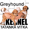 Greyhound: kennel TATANKA VITKA